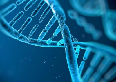 A biológiai kor a génjeinkben (is) van?